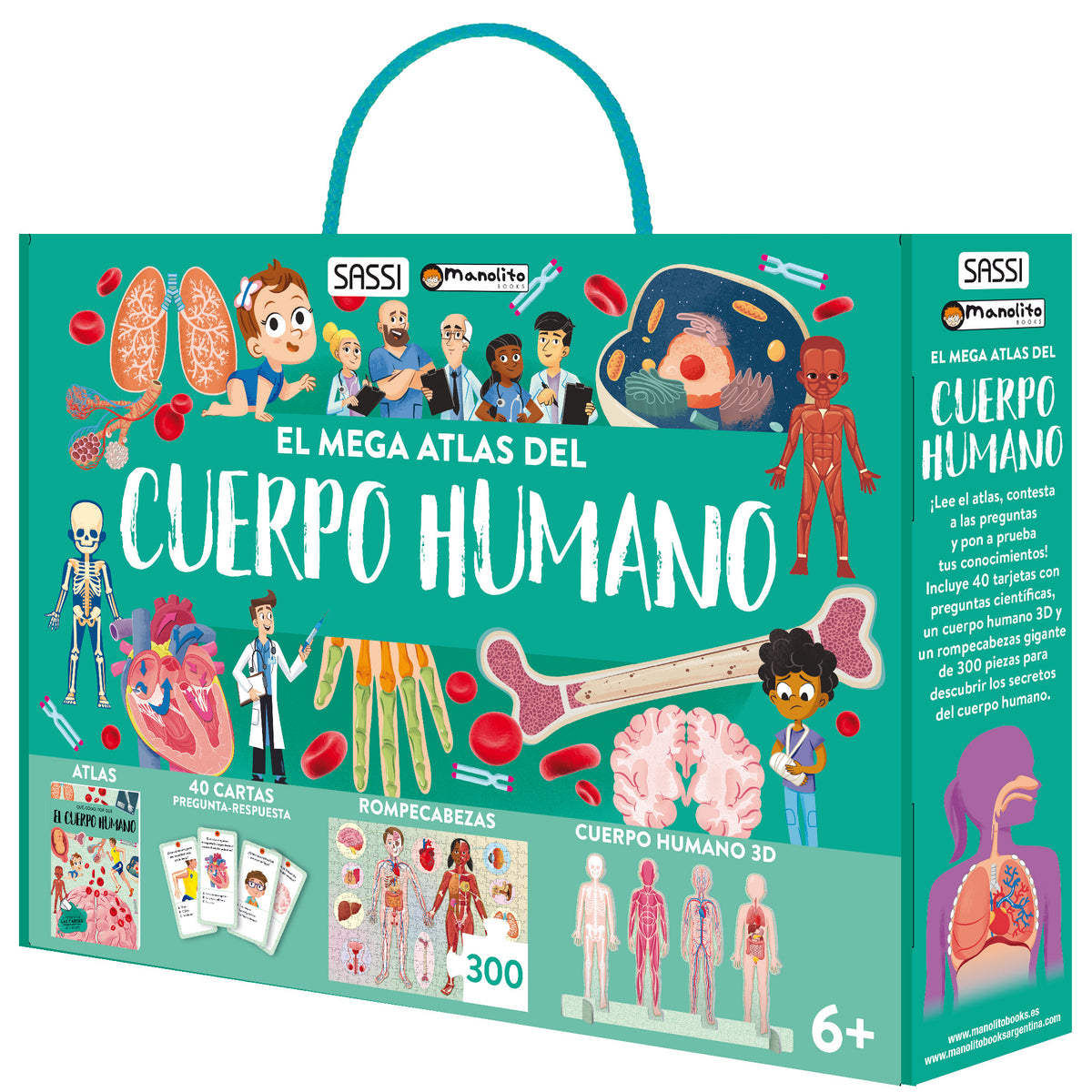 Cuerpo humano