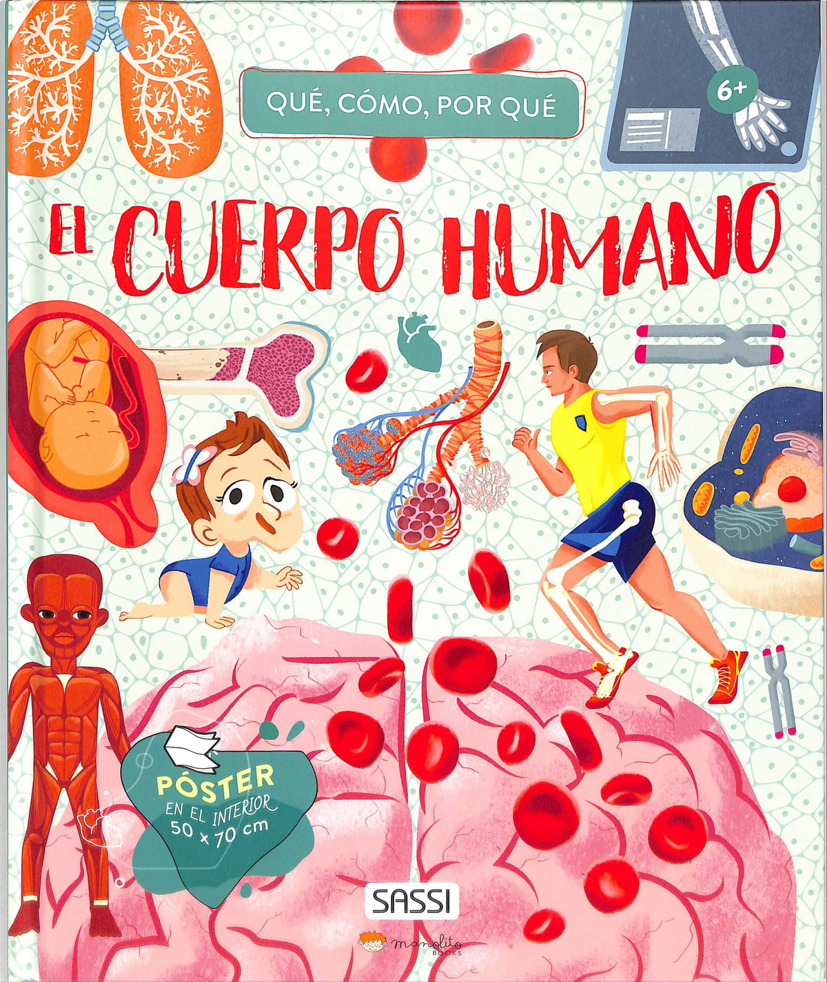 El cuerpo humano