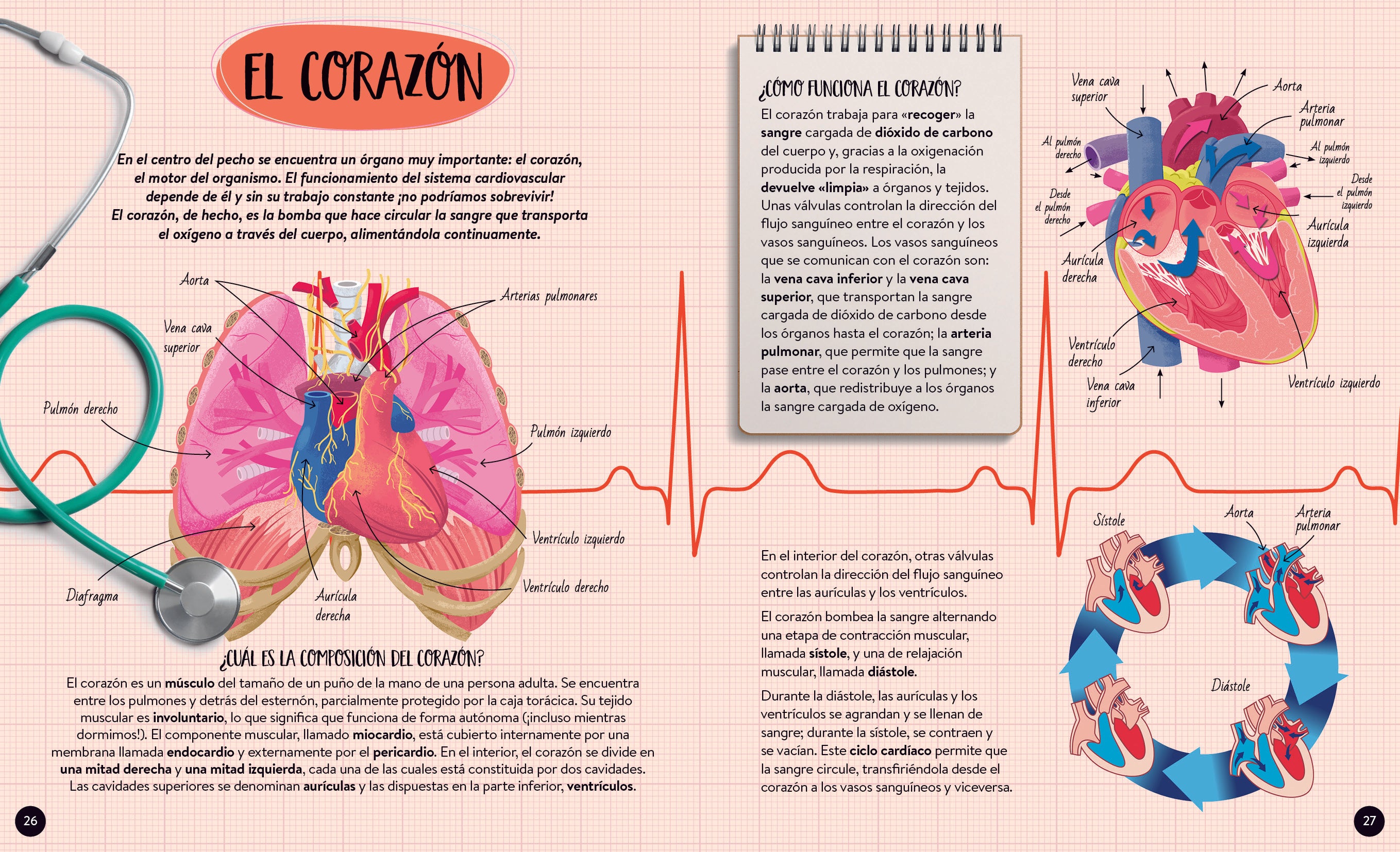 El cuerpo humano