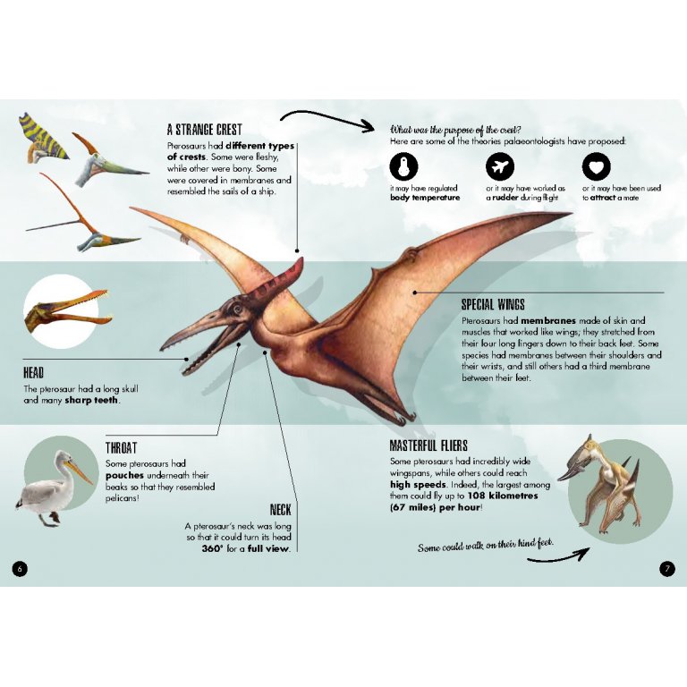 Pteranodon la era de los dinosaurios