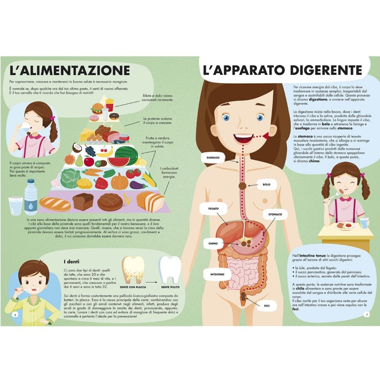 Todo sobre el cuerpo humano